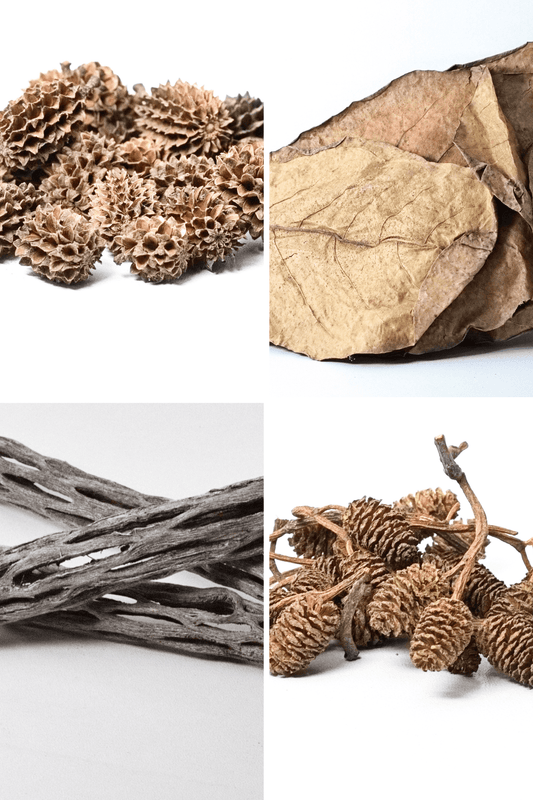 Natural aquarium botanicals for a freshwater shrimp tank