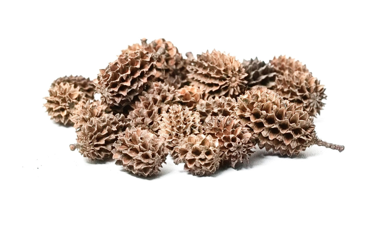 Botanicals