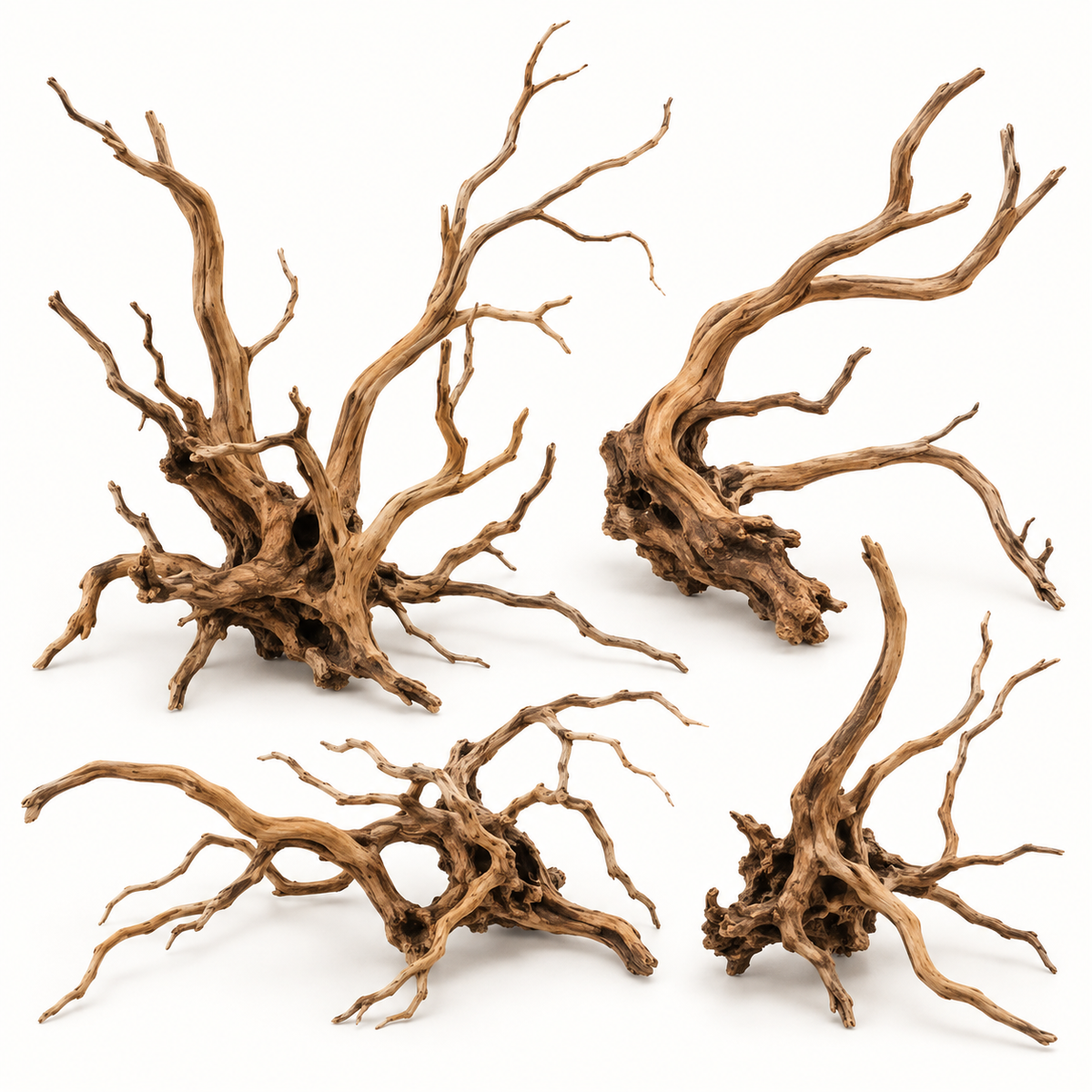 Aquarium Wood