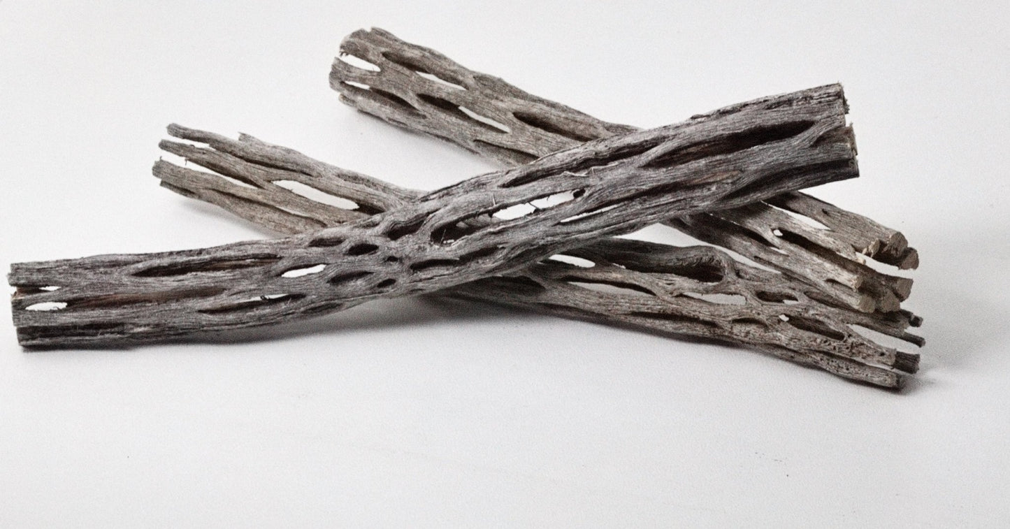 Cholla Wood 3 Pack